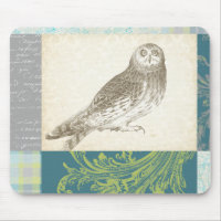 Graues Owl im Muster-Hintergrund