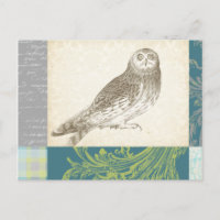 Graues Owl im Muster-Hintergrund