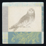 Graues Owl im Muster-Hintergrund Steinuntersetzer<br><div class="desc">Gefühl künstlerisch? Holen Sie sich dieses zeitgenössische zeichn einer grauen Eule auf einem Collage-inspiriert Hintergrund. Der farbenfrohe Hintergrund ist in Blau-,  Grau- und Grüntönen gehalten. Dieser Kunstdruck wird jedes Wohnzimmer,  Bad oder Schlafzimmer aufhellen.</div>