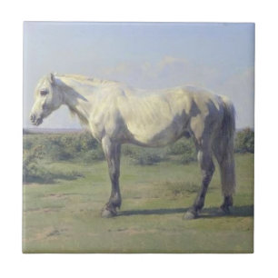 Graues Pferd in einem Feld (von Rosa Bonheur) Fliese