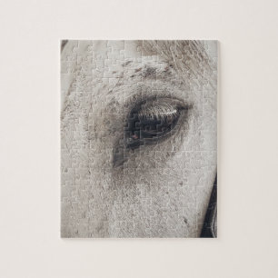 Graues Pferd, Nahes Auge