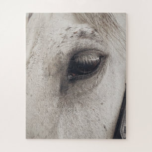 Graues Pferd, Nahes Auge