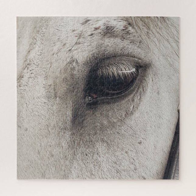 Graues Pferd, Nahes Auge (Vertikal)