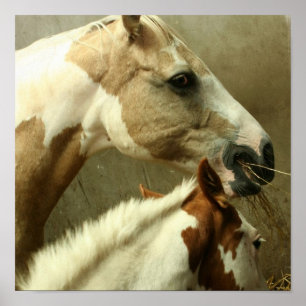 Graues Pferdeposter Poster