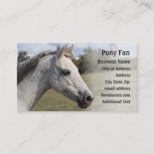 Graues Pony - Foto-Geschäfts-Karte Visitenkarte (Vorderseite)