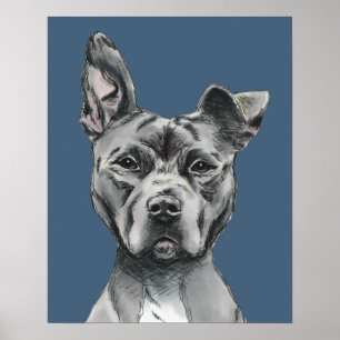 Graues Stalky Gruben-Stier-Hundezeichnen Poster