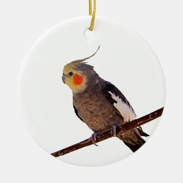 Graues und gelbes Cockatiel Pet Bird Color Foto Keramikornament (Vorne)