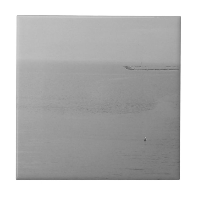 Graues Wasser mit Seagull Fliese (Vorderseite)