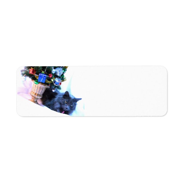 Graues Weihnachten (Vorne)