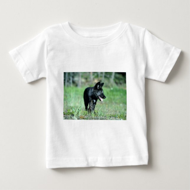 Graues Wolf-Sommer (Schwarzphase) Junges Baby T-shirt (Vorderseite)