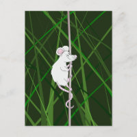 Graufeldmaus im hohen Gras