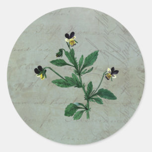 Graugrün mit botanischen Veilchen Runder Aufkleber