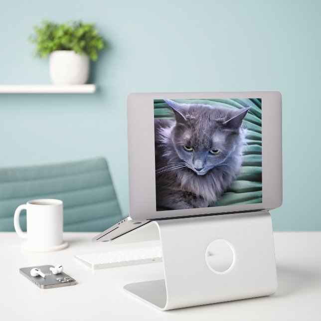 Graugrüne Mit Augen Katze, maßgeschneidert Vinyl S Aufkleber (Laptop auf Schreibtisch)