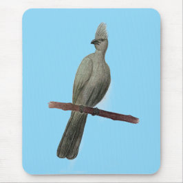 Graugürtelstift zeichnend mousepad