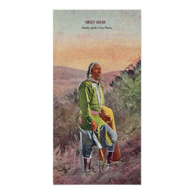 Grauhaarige Indianernotizbuch Poster (Vorderseite)