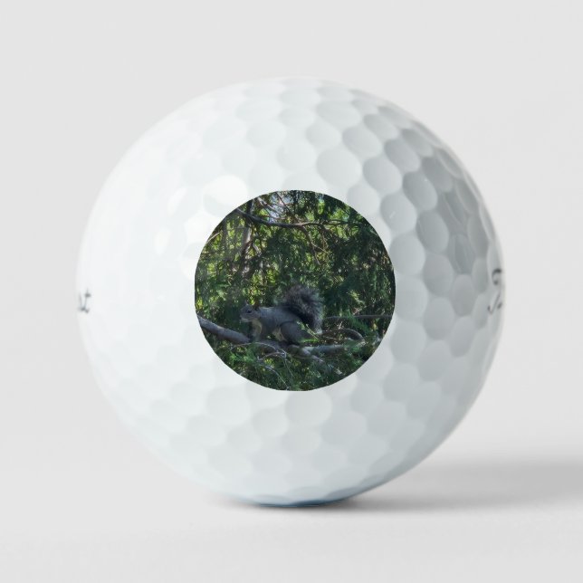 Grauhörnchen Golfball (Vorderseite)