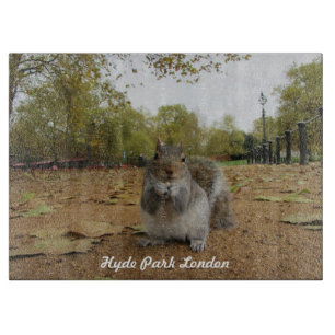 Grauhörnchen Hyde Park London. Schneidebrett