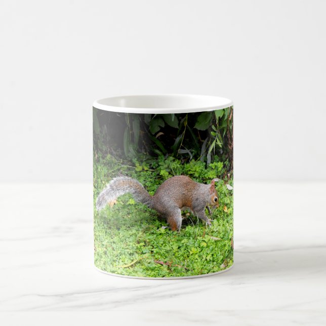 Grauhörnchen Kaffeetasse (Mittel)