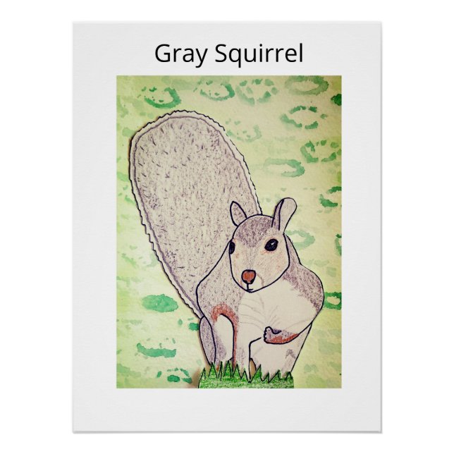 Grauhörnchen  poster (Vorderseite)