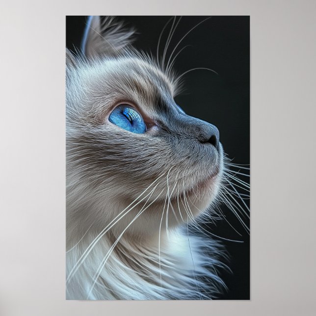 Graukatze mit blauen Augen Poster (Vorne)