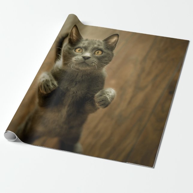 GRAUKKATZE STEHEND IN ZWEI FÜSSEN GESCHENKPAPIER (Ungerollt)