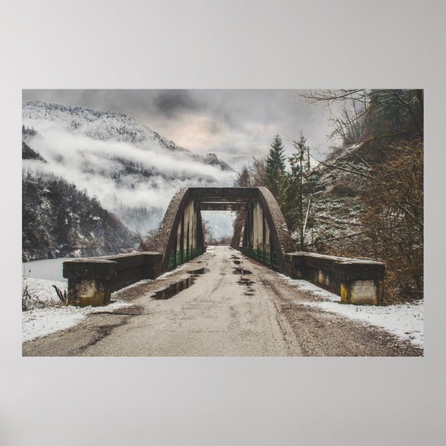 GRAUKONKRETE ARCHENBRÜCKE NEBEN LEAFLESS BAUM POSTER (Vorne)