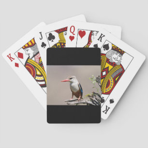 Graukopfkraut Spielkarten