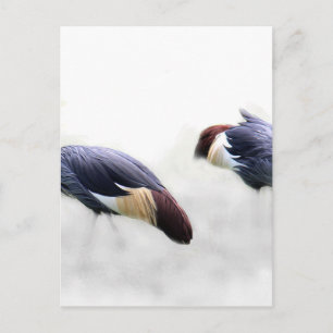 Graukronenkranich-Vogelflügel-Federn Postkarte