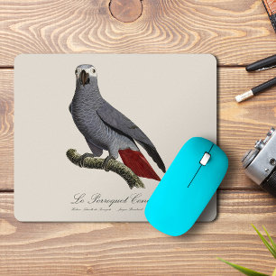 Graupapagei, Psittacus erithacus, Vintage Mousepad