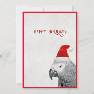 Graupapageien-Weihnachtskarte Feiertagskarte
