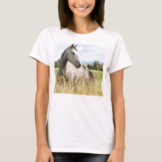 Graupferd in Paddock Long Sleeve Ladys T - Shirt