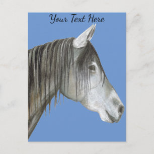 Graupferd Postkarte