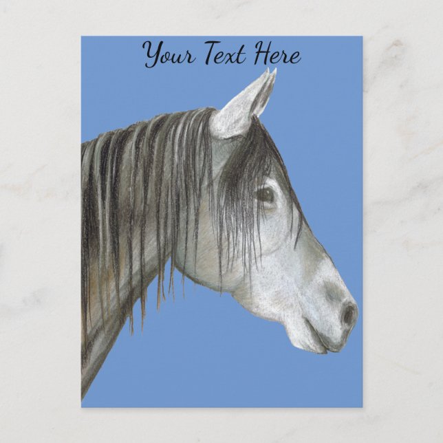 Graupferd Postkarte (Vorderseite)