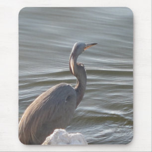 Graureiher am Wasser Mousepad