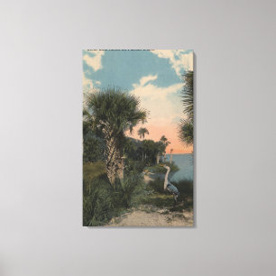 Graureiher auf Florida-Küsten-Strand Leinwanddruck