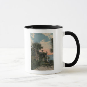 Graureiher auf Florida-Küsten-Strand Tasse