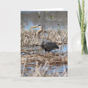 Graureiher-Gruß-Karte Karte