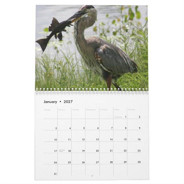 GRAUREIHER KALENDER (Jan 2027)