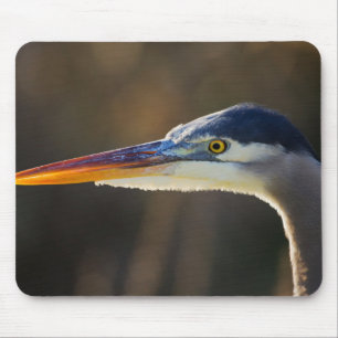 Graureiher, Nahaufnahme-Porträt Mousepad