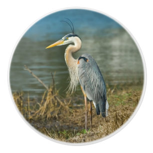 Graureiher-Vogel in dem Teich Keramikknauf