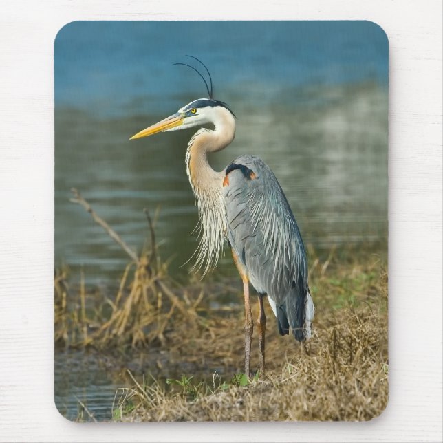 Graureiher-Vogel Mousepad (Vorne)