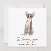 Graurosa Sphynx Katzenmatte Welpen Geburtstag