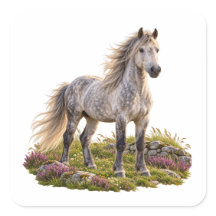 Grauschimmel Connemara-Pony Irische Küstenlandscha