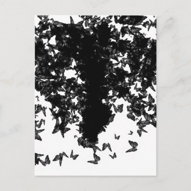 Grauschmetterling Postkarte (Vorderseite)