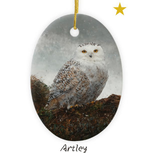 Grauschneevögel Vogelmalerei Jahr Weihnachten Keramik Ornament