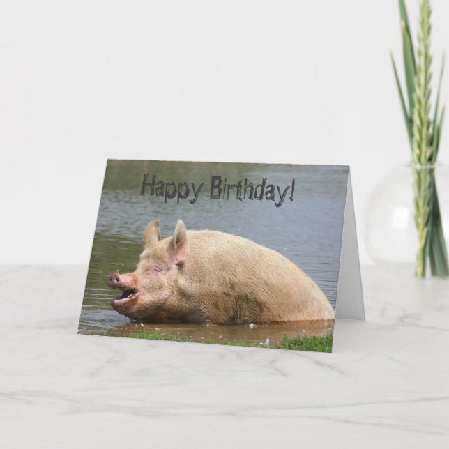 Grauschweine Geburtstag Karte (Vorderseite)