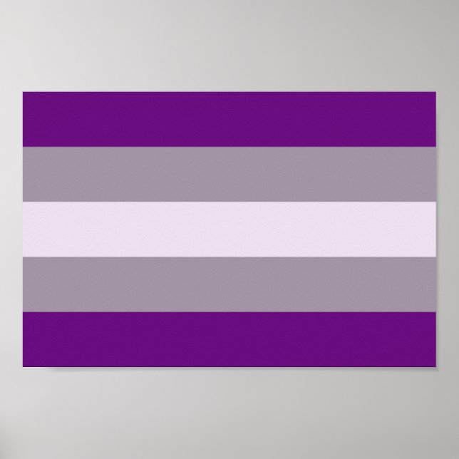 Grausexueller Stolz Poster (Vorne)