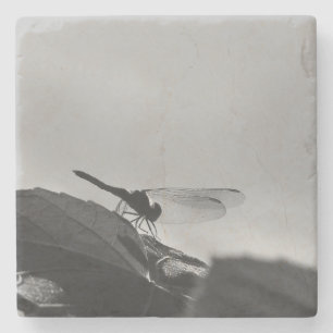 Graustufen-Dragonfly auf einem Untersetzer
