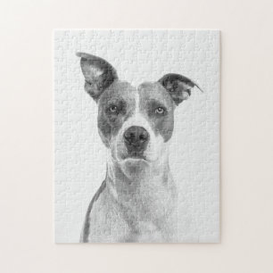 Graustufen-Kurzer Hufhund in Schwarz/Weiß