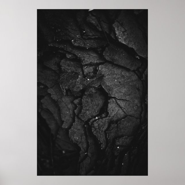 Graustufenfotografie Poster (Vorne)